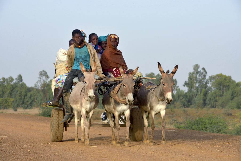 Voyage au Sénégal à bord du Bou el Mogdad, sur la route du Royaume Toucouleur