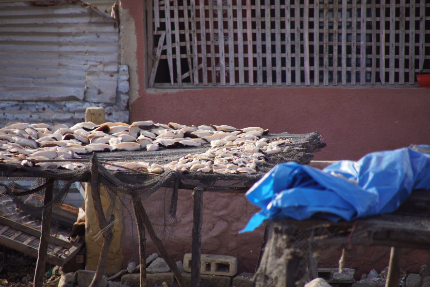 Fadiouth l'île aux coquillages, Sénégal